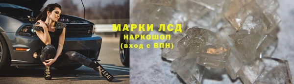 индика Арсеньев