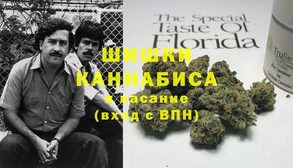 индика Арсеньев