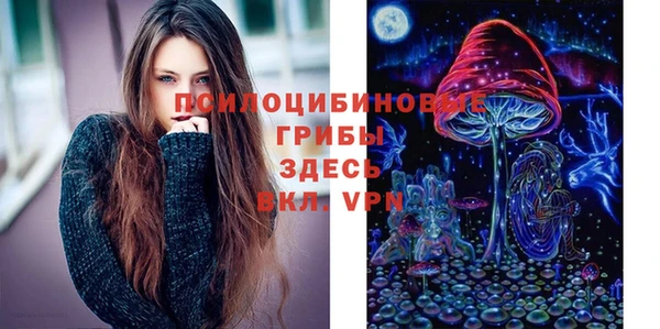молекула духа Алексеевка